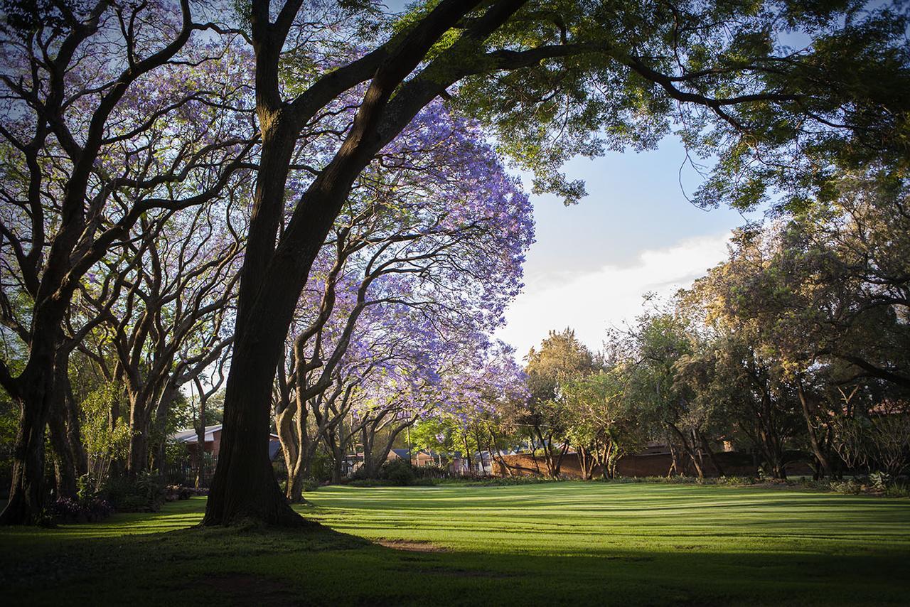 Pierneef'S Kraal Hotel Pretoria Luaran gambar